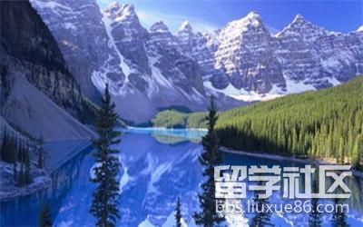 加拿大移民